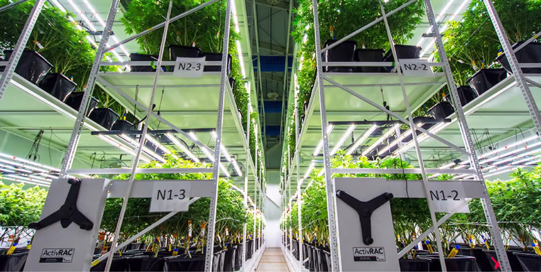 Indoor cannabis cultivation facility